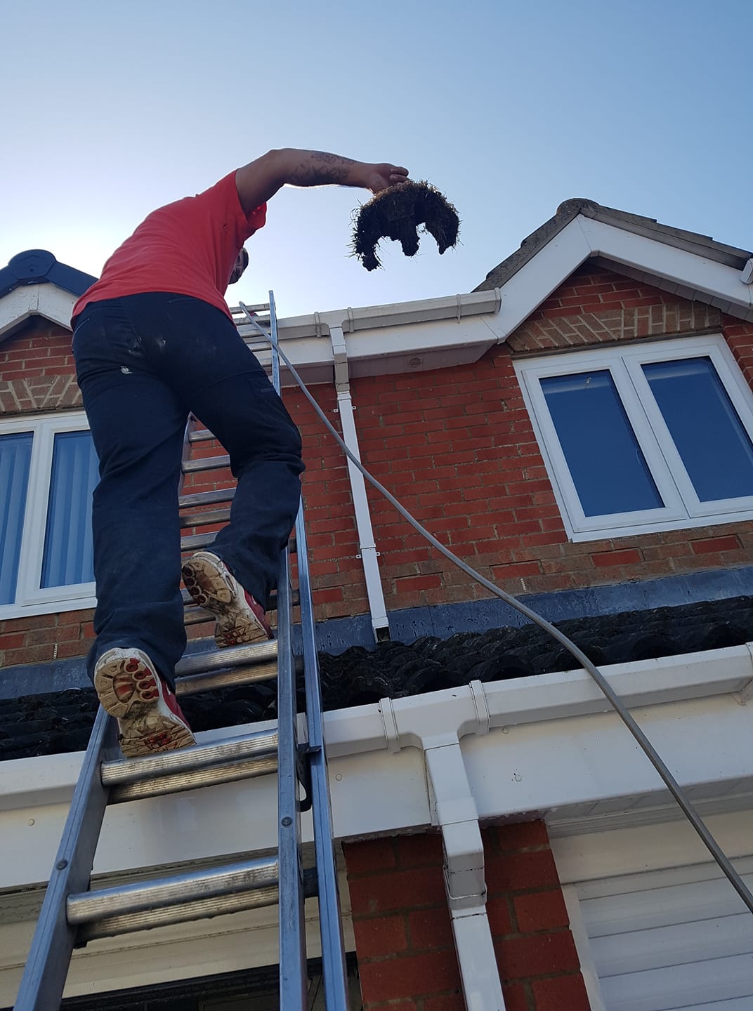 Solar panel pigeon proofing